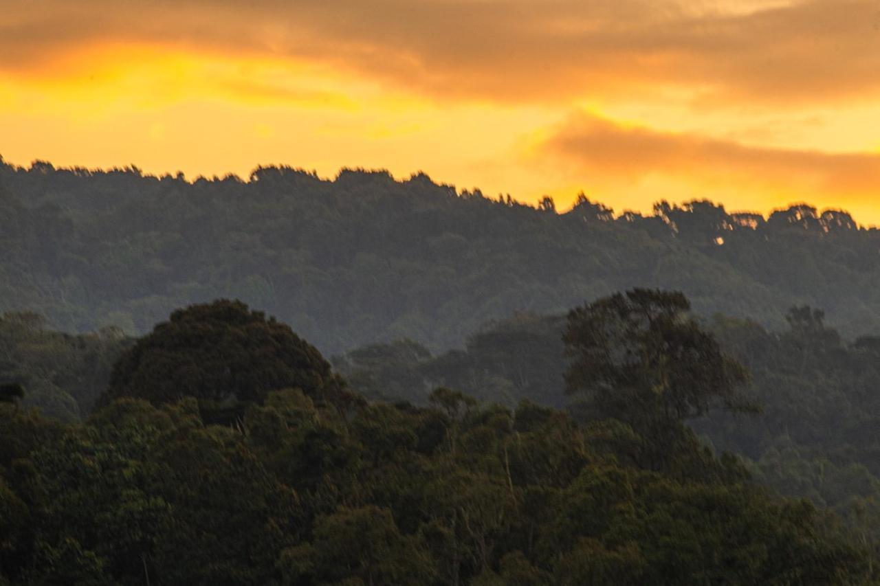 Gorilla Safari Lodge Rubuguli Bagian luar foto