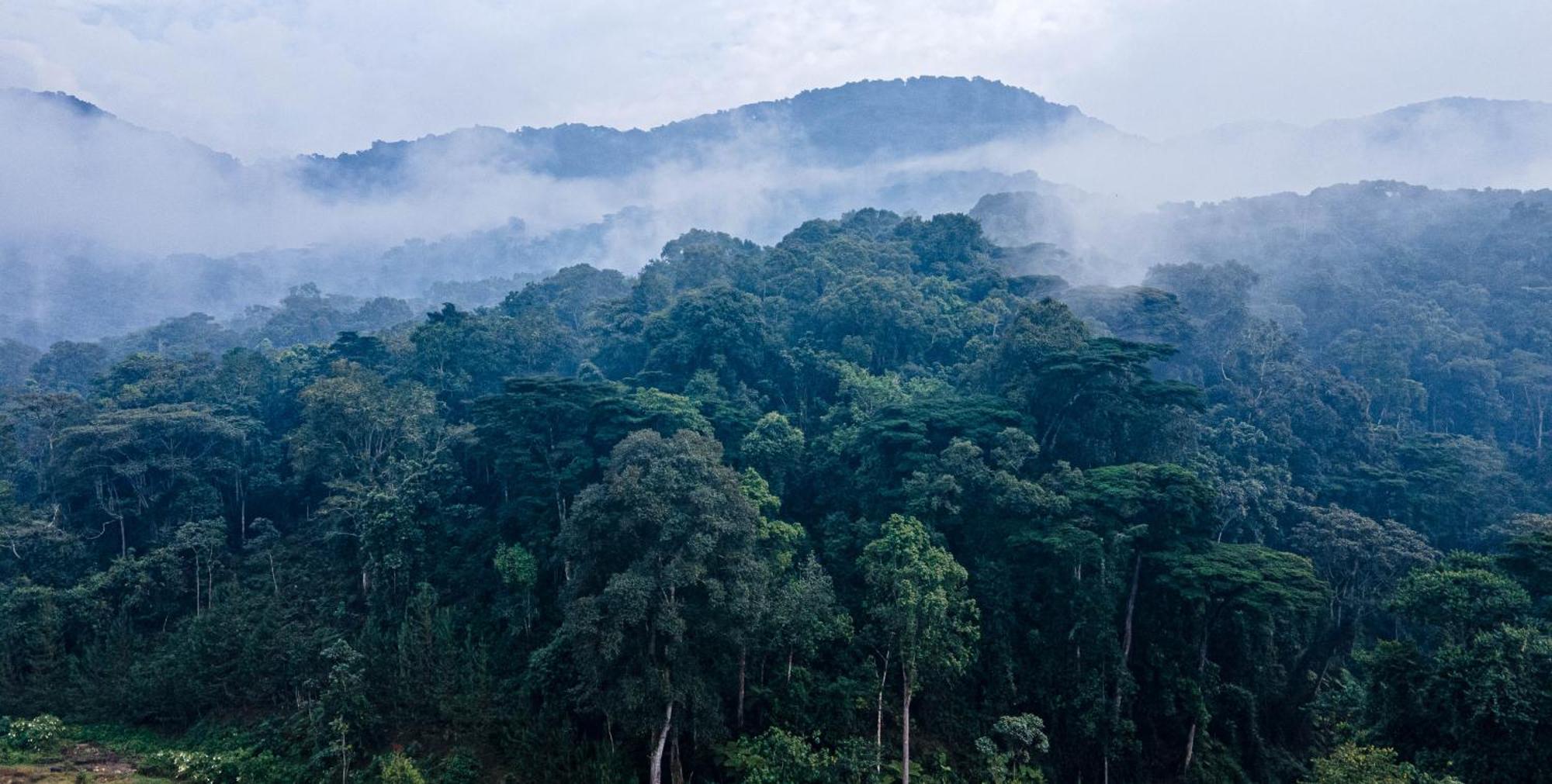 Gorilla Safari Lodge Rubuguli Bagian luar foto