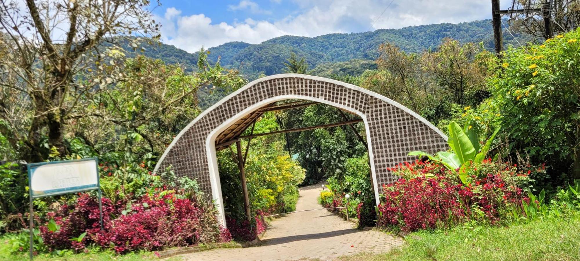 Gorilla Safari Lodge Rubuguli Bagian luar foto