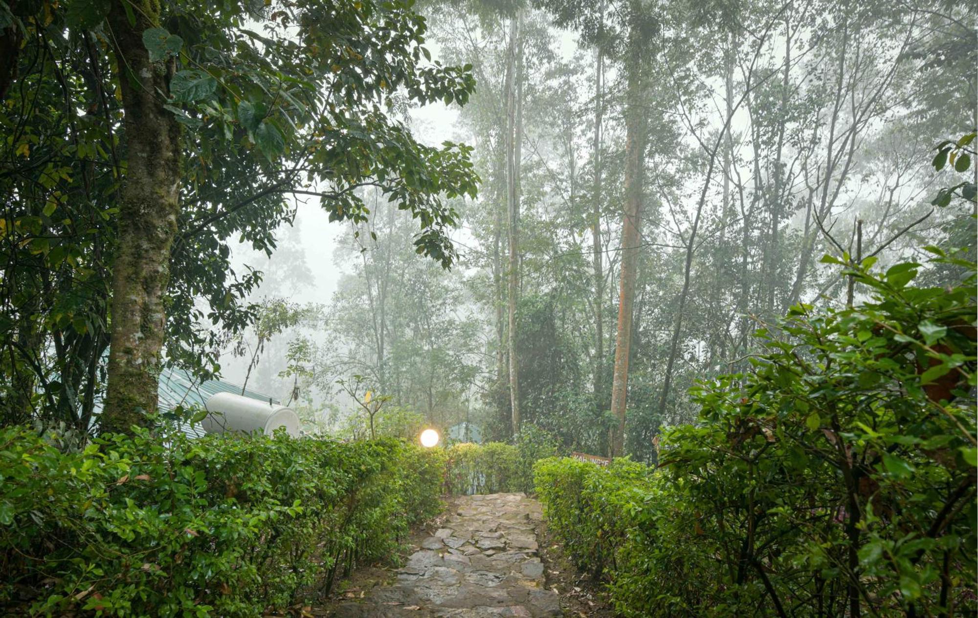 Gorilla Safari Lodge Rubuguli Bagian luar foto