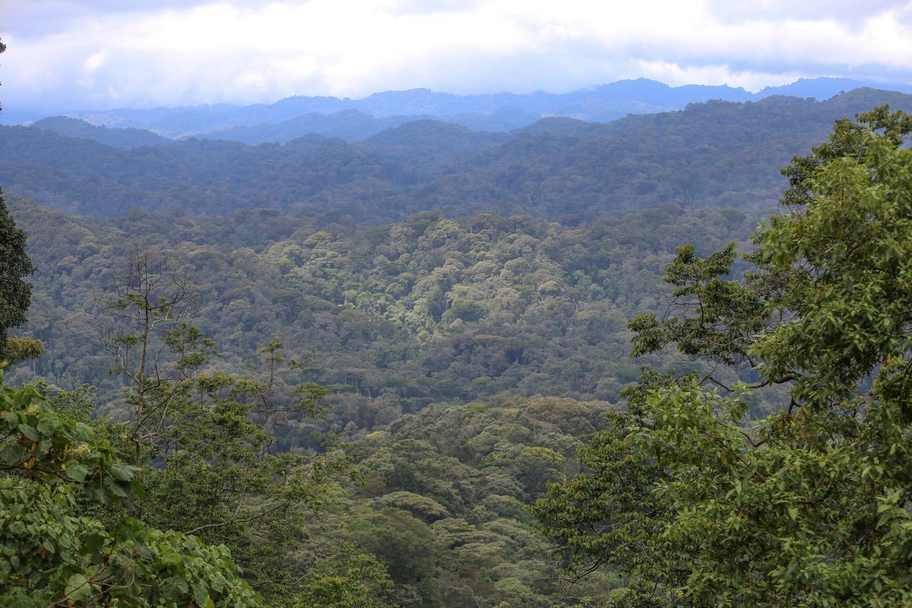Gorilla Safari Lodge Rubuguli Bagian luar foto