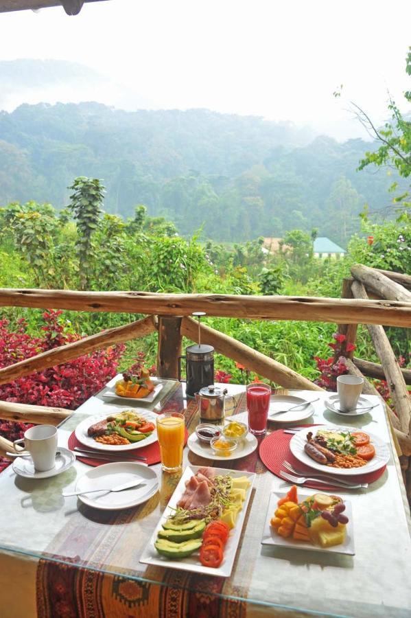 Gorilla Safari Lodge Rubuguli Bagian luar foto